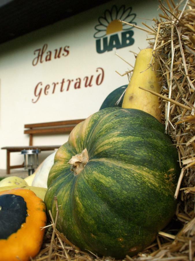 バート・グライヒェンベルク Haus Gertraudヴィラ エクステリア 写真